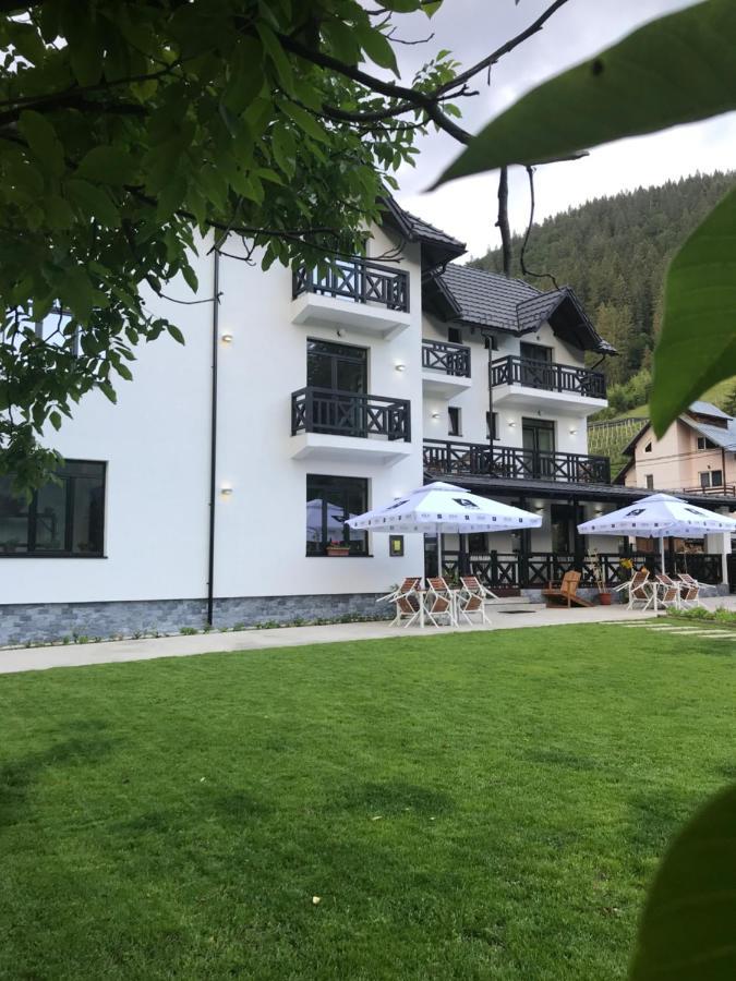 Pensiunea Edelweiss Voineasa Bagian luar foto