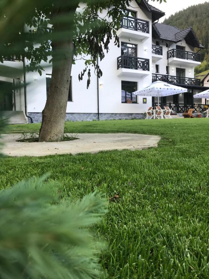 Pensiunea Edelweiss Voineasa Bagian luar foto