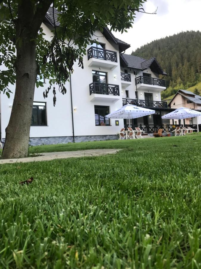 Pensiunea Edelweiss Voineasa Bagian luar foto