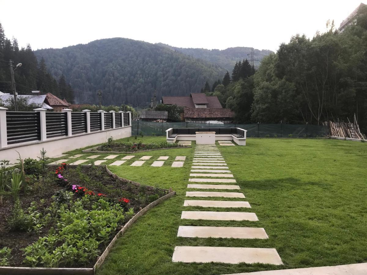Pensiunea Edelweiss Voineasa Bagian luar foto