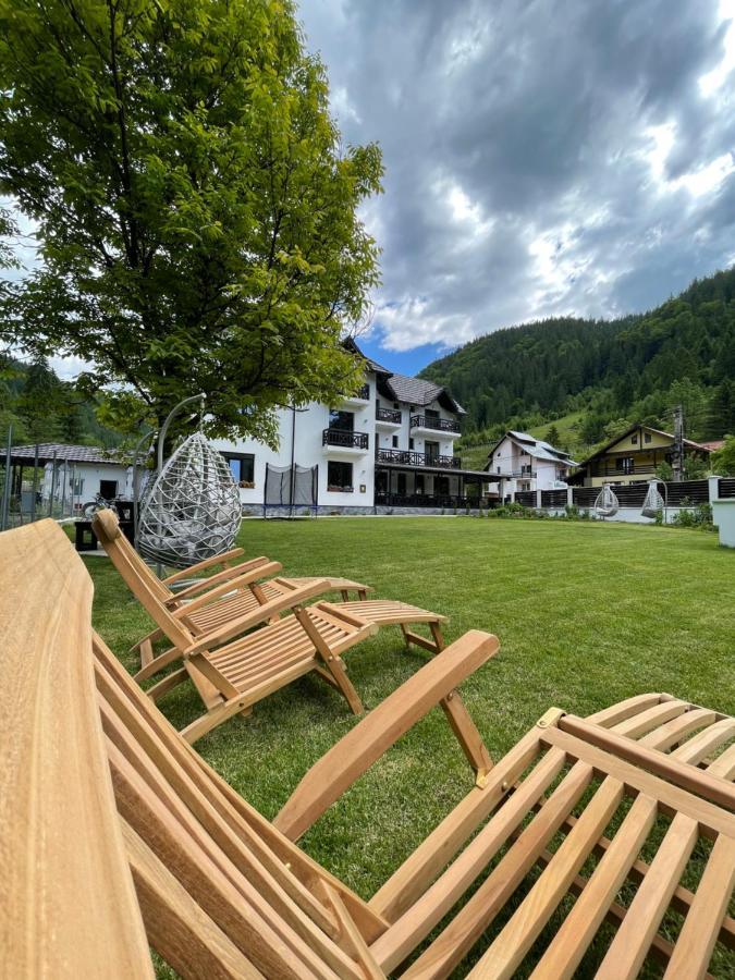 Pensiunea Edelweiss Voineasa Bagian luar foto