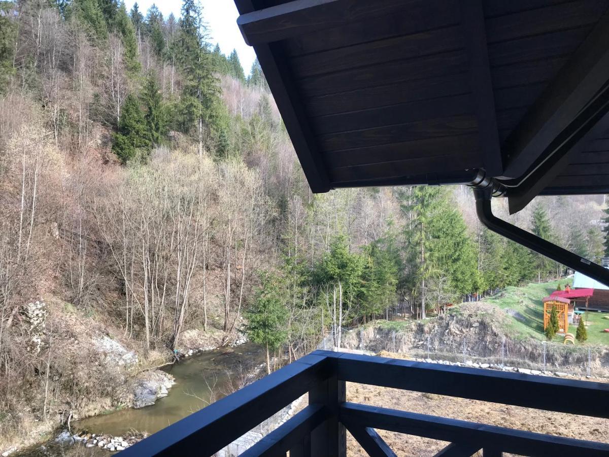 Pensiunea Edelweiss Voineasa Bagian luar foto