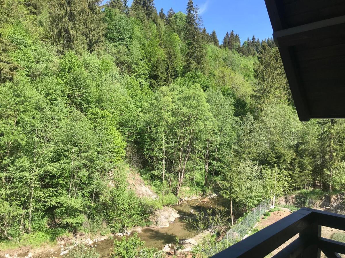 Pensiunea Edelweiss Voineasa Bagian luar foto