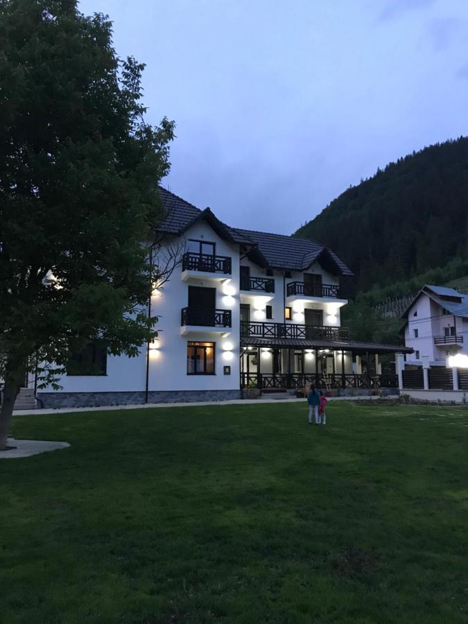 Pensiunea Edelweiss Voineasa Bagian luar foto